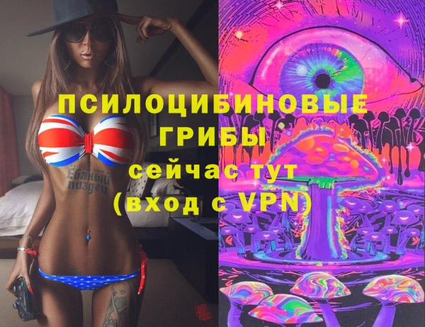 спайс Абаза