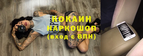 индика Пенза