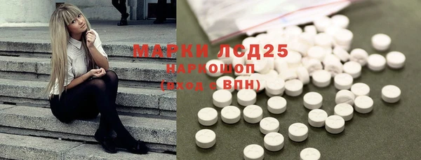 прущие грибы Горняк