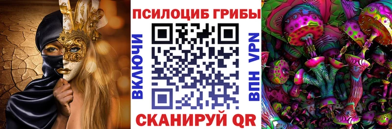Галлюциногенные грибы Psilocybe  Хабаровск 